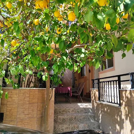George's & Amalia's Appartments Διαμέρισμα *